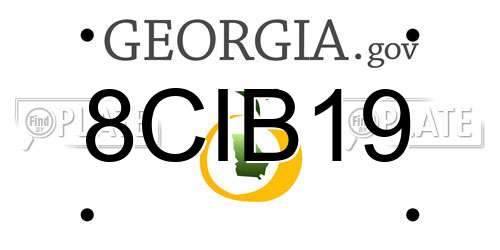 8CIB19 Georgia License Plate