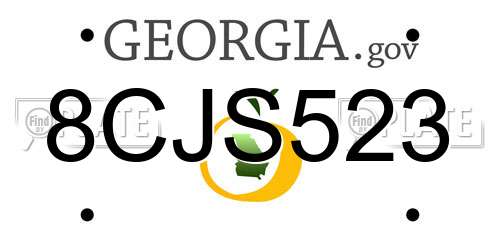 8CJS523 Georgia License Plate