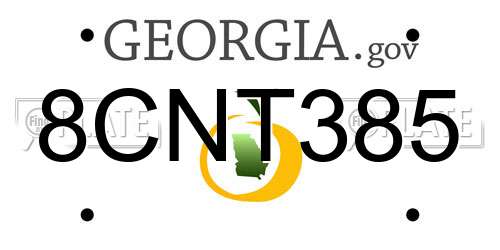 8CNT385 Georgia License Plate