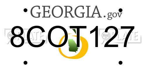 8COT127 Georgia License Plate