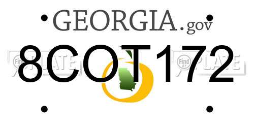 8COT172 Georgia License Plate