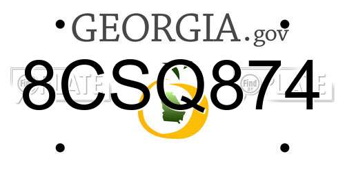 8CSQ874 Georgia License Plate