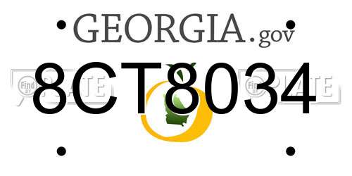 8CT8034 Georgia License Plate