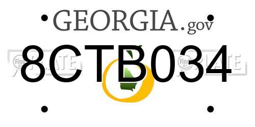 8CTB034 Georgia License Plate