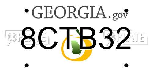 8CTB32 Georgia License Plate