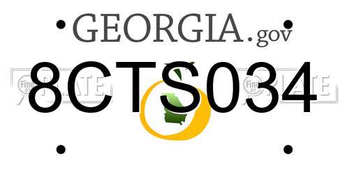 8CTS034 Georgia License Plate