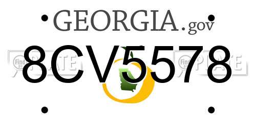 8CV5578 Georgia License Plate