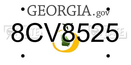 8CV8525 Georgia License Plate