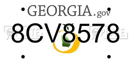 8CV8578 Georgia License Plate