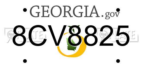 8CV8825 Georgia License Plate