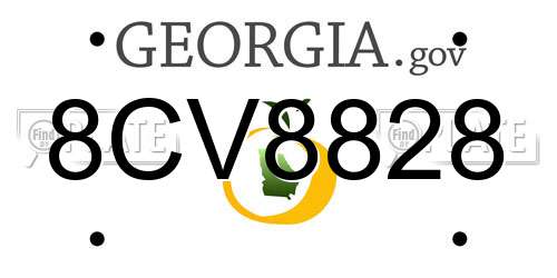8CV8828 Georgia License Plate