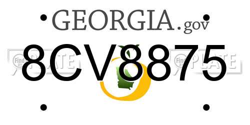 8CV8875 Georgia License Plate