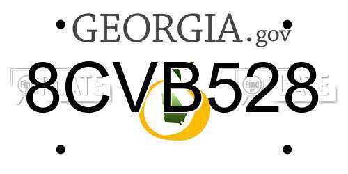 8CVB528 Georgia License Plate