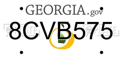 8CVB575 Georgia License Plate