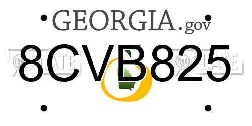 8CVB825 Georgia License Plate