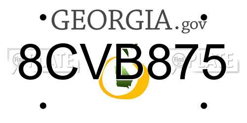 8CVB875 Georgia License Plate