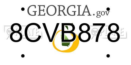 8CVB878 Georgia License Plate