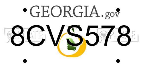 8CVS578 Georgia License Plate