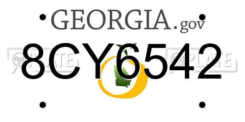 8CY6542 Georgia License Plate