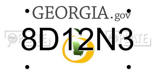 8D12N3 Georgia License Plate