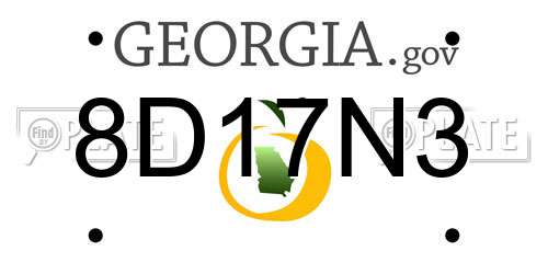 8D17N3 Georgia License Plate