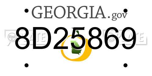 8D25869 Georgia License Plate