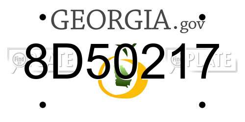 8D50217 Georgia License Plate