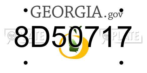 8D50717 Georgia License Plate