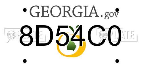 8D54C0 Georgia License Plate