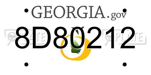 8D80212 Georgia License Plate