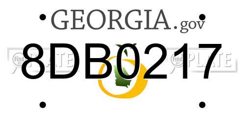 8DB0217 Georgia License Plate