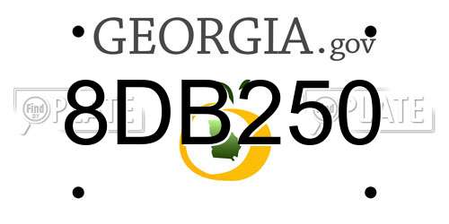 8DB250 Georgia License Plate