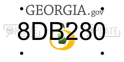 8DB280 Georgia License Plate