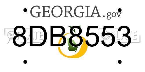 8DB8553 Georgia License Plate