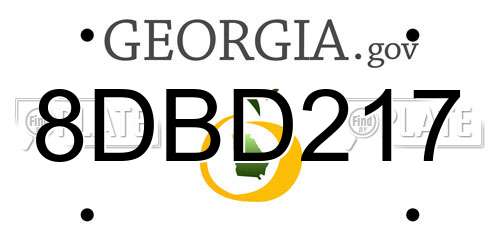 8DBD217 Georgia License Plate