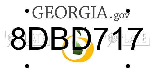 8DBD717 Georgia License Plate