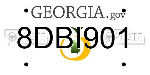8DBI901 Georgia License Plate