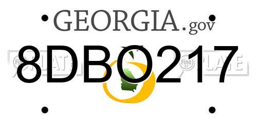 8DBO217 Georgia License Plate