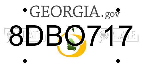8DBO717 Georgia License Plate