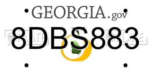 8DBS883 Georgia License Plate
