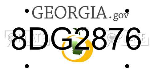 8DG2876 Georgia License Plate