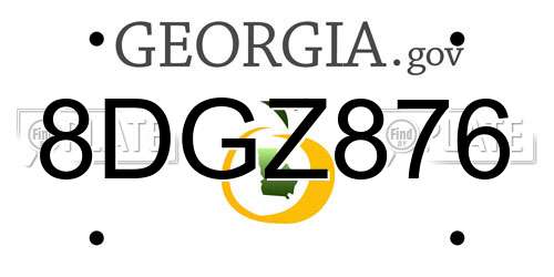 8DGZ876 Georgia License Plate