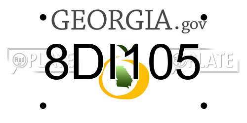8DI105 Georgia License Plate
