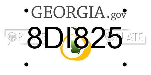 8DI825 Georgia License Plate