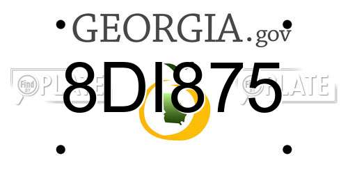 8DI875 Georgia License Plate