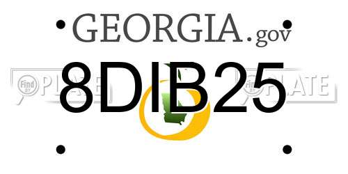 8DIB25 Georgia License Plate
