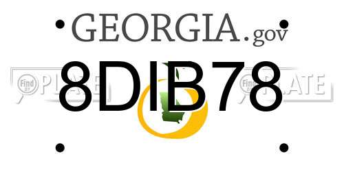 8DIB78 Georgia License Plate