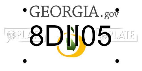 8DII05 Georgia License Plate