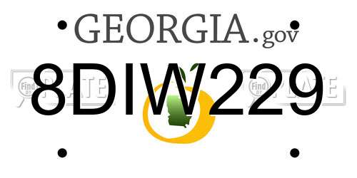 8DIW229 Georgia License Plate