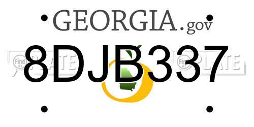 8DJB337 Georgia License Plate